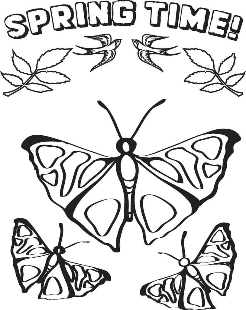 Målarbild Drawing Butterflies Spring