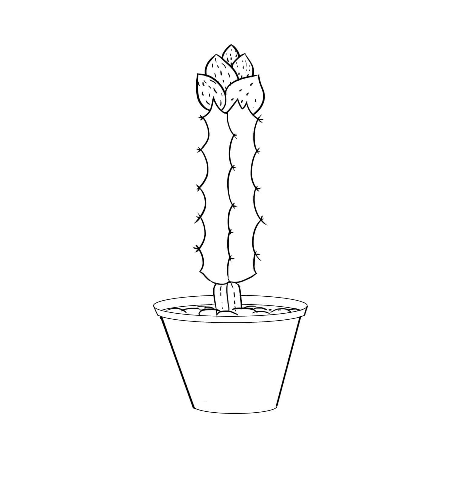 Målarbild En Kaktus