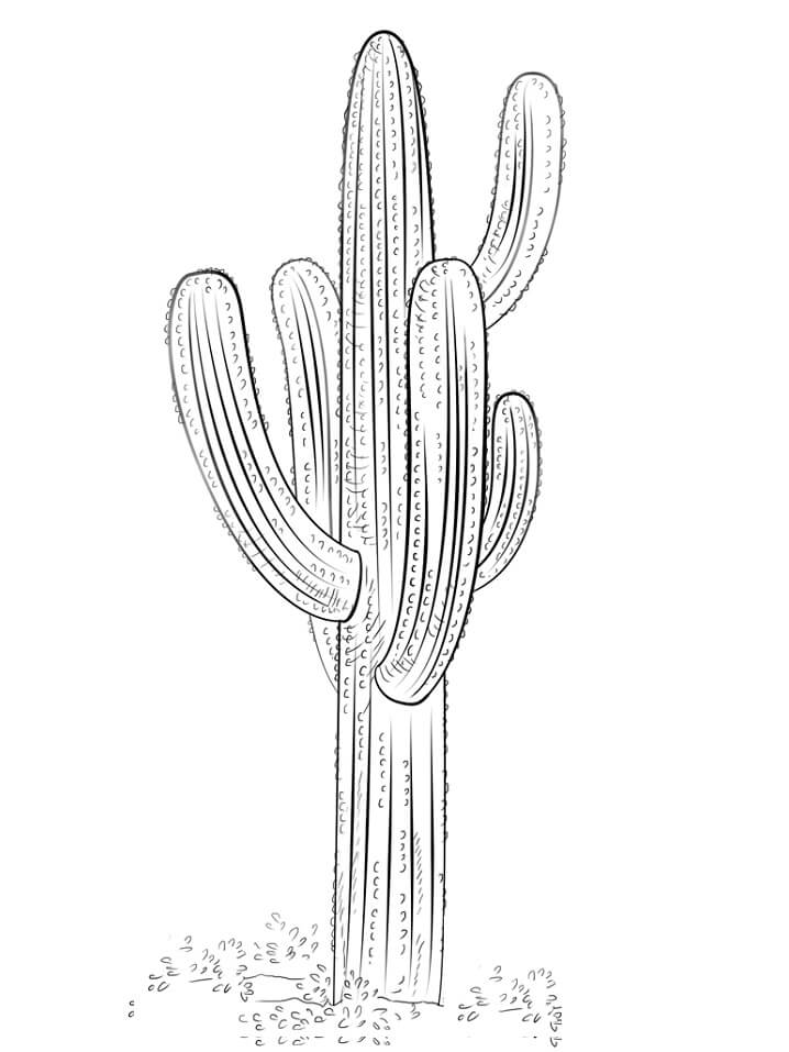 Målarbild En Kaktusväxt