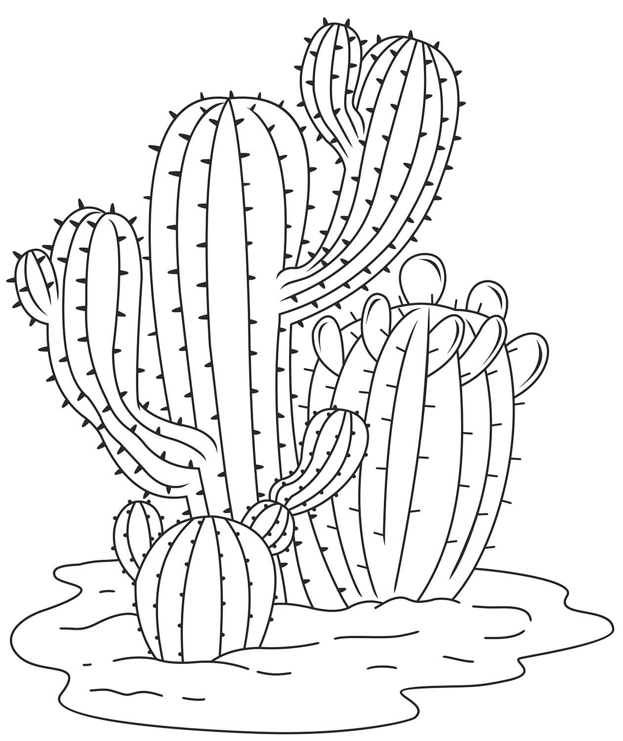 Målarbild Enkel Kaktus