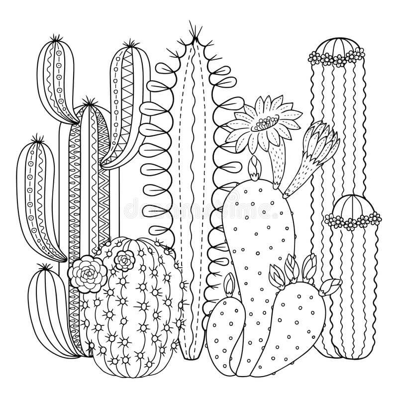 Målarbild Fantastisk Kaktusträdgård