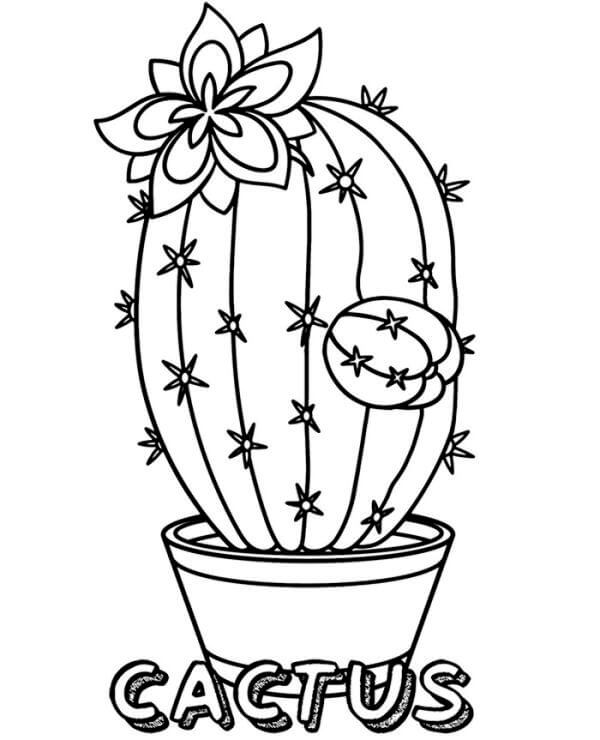 Målarbild Grundläggande Kaktus