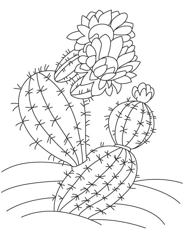 Målarbild Kaktus med Blomma