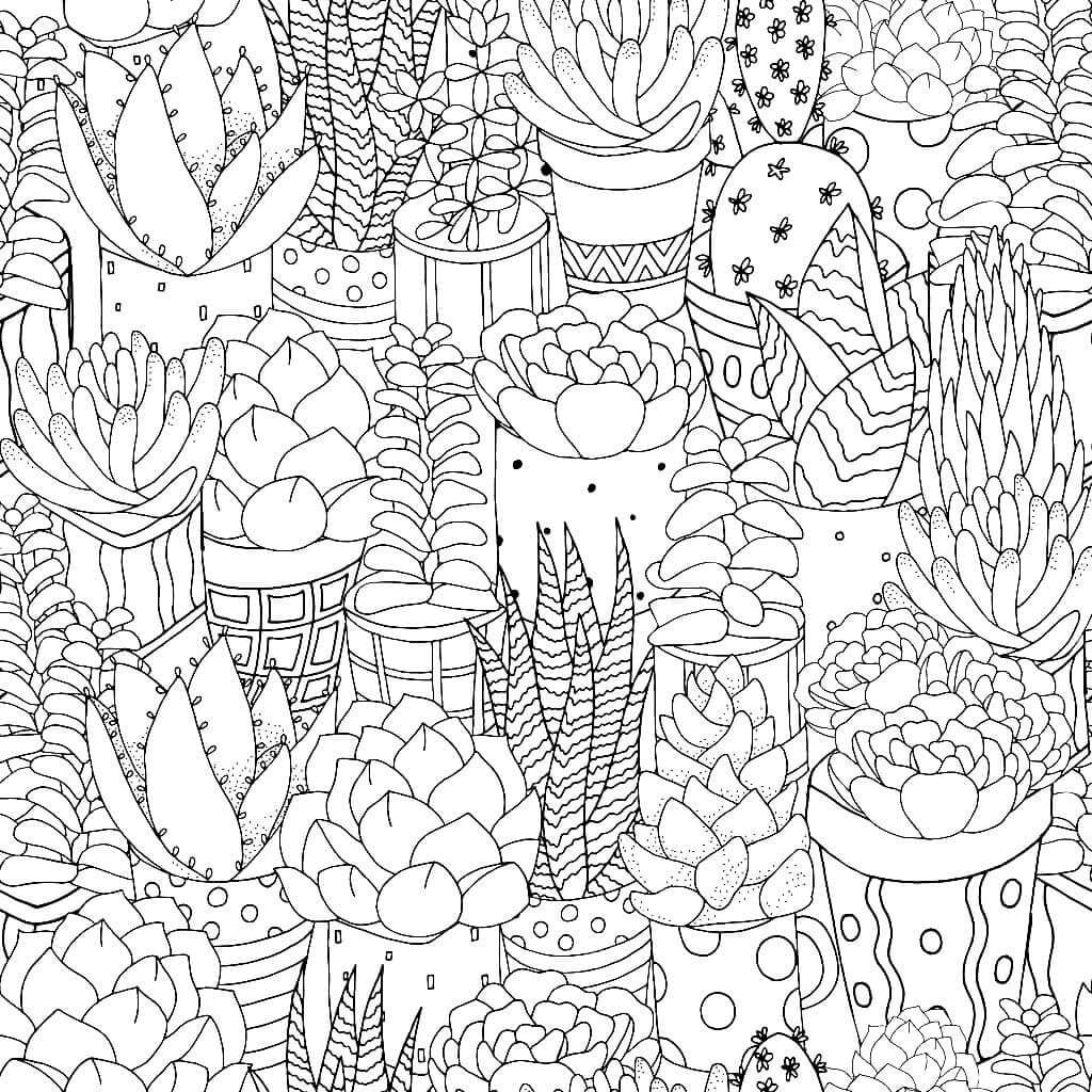 Målarbild Kaktusar för Vuxna