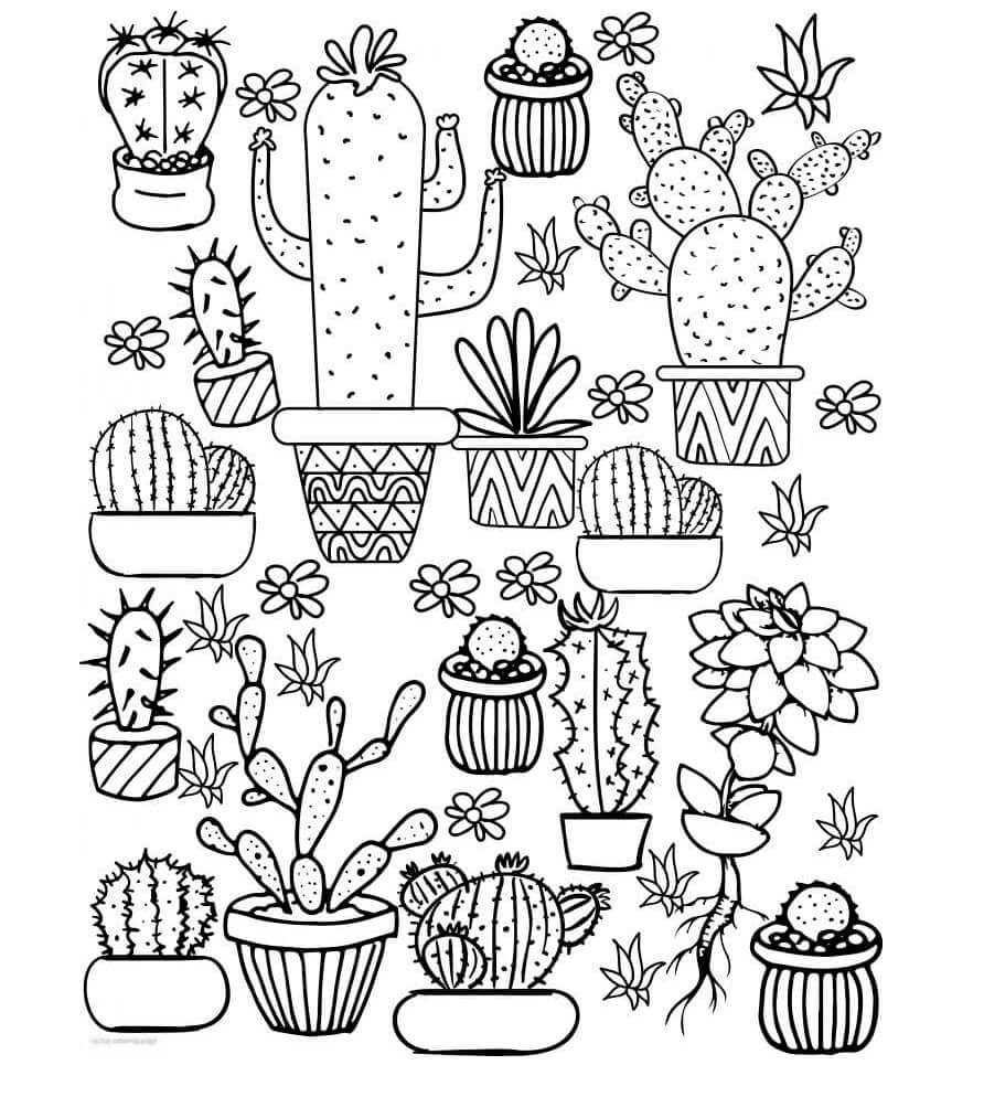 Målarbild Kaktusträdgården