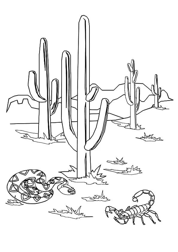 Målarbild Orm Och Skorpion Med Kaktus