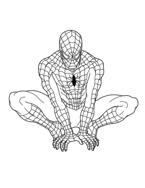 Målarbild Spindelmannen