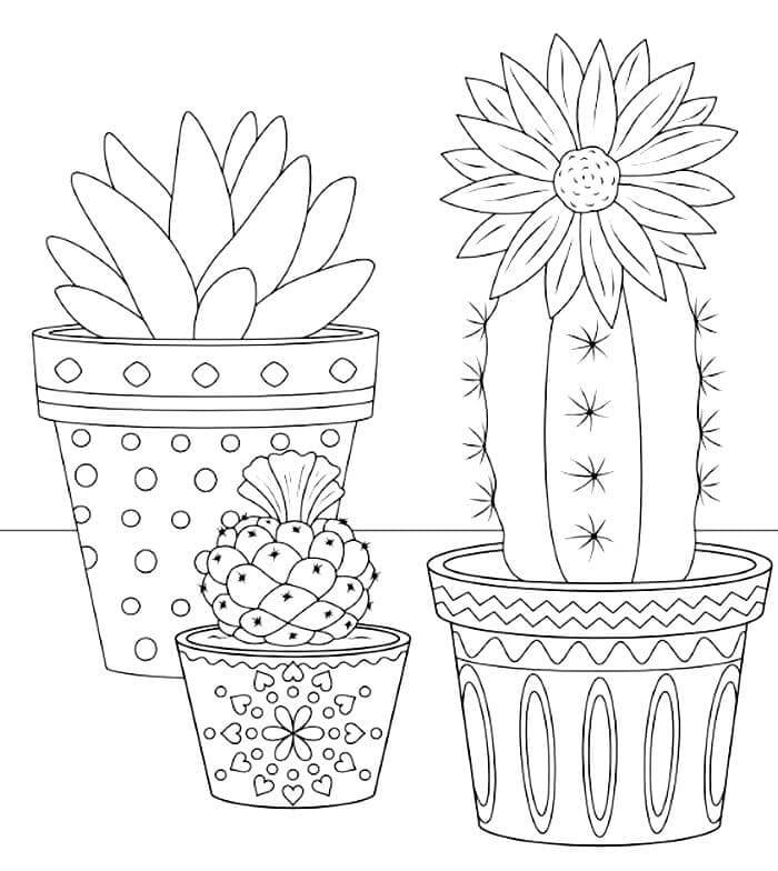 Målarbild Tre Kaktuskruka