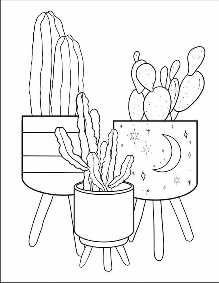 Målarbild Tre Vackra Kaktuskruka