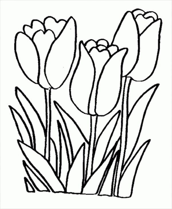 Målarbild Tulipan