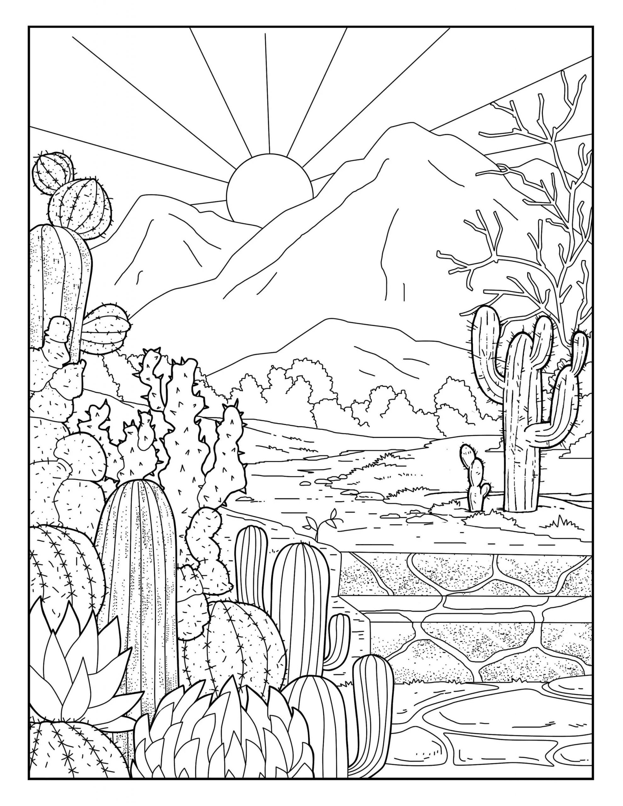 Målarbild Vacker Kaktusträdgård