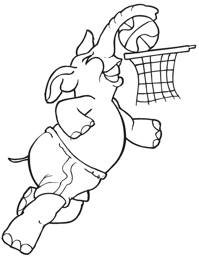 Målarbild Elefanten Spelar Basket