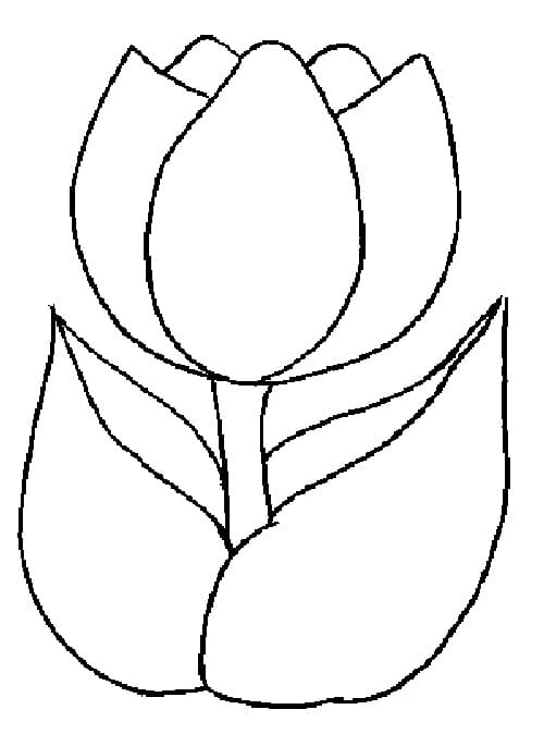 Målarbild Enkel Tulpan