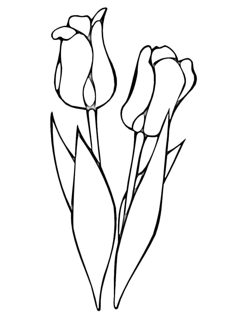 Målarbild Röda Tulpaner