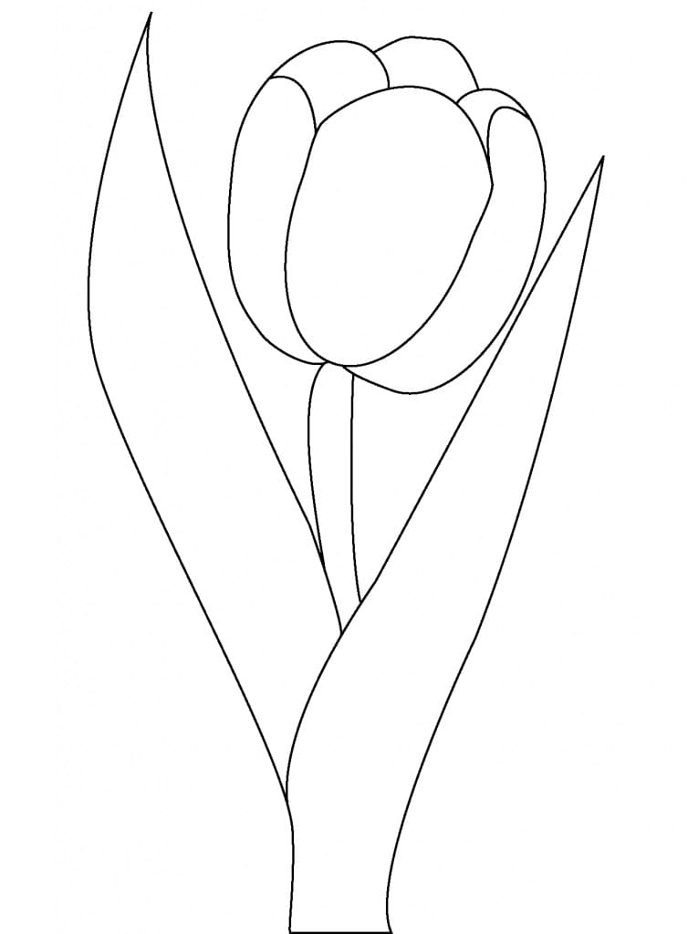 Målarbild Väldigt Enkel Tulpan