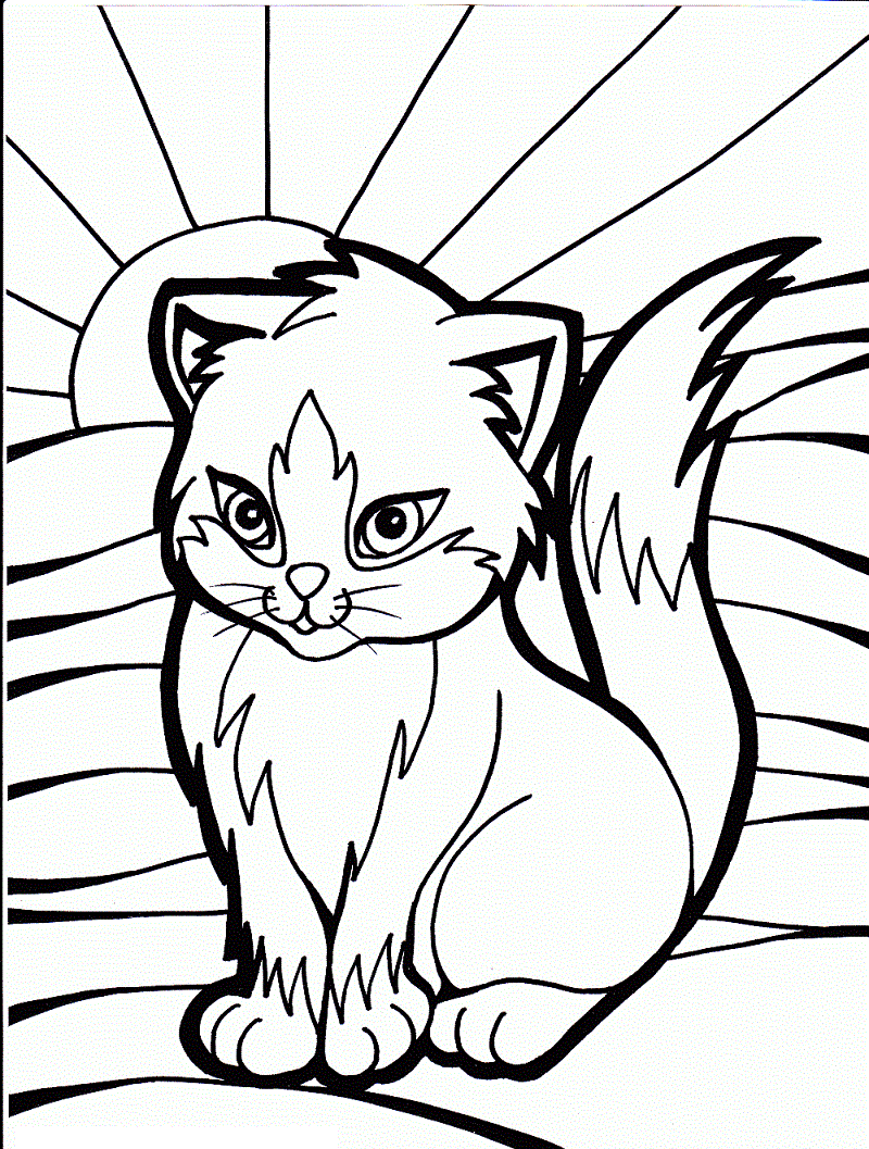 M larbild G r Katt Skiv Ut Gratis P Malarbilder se
