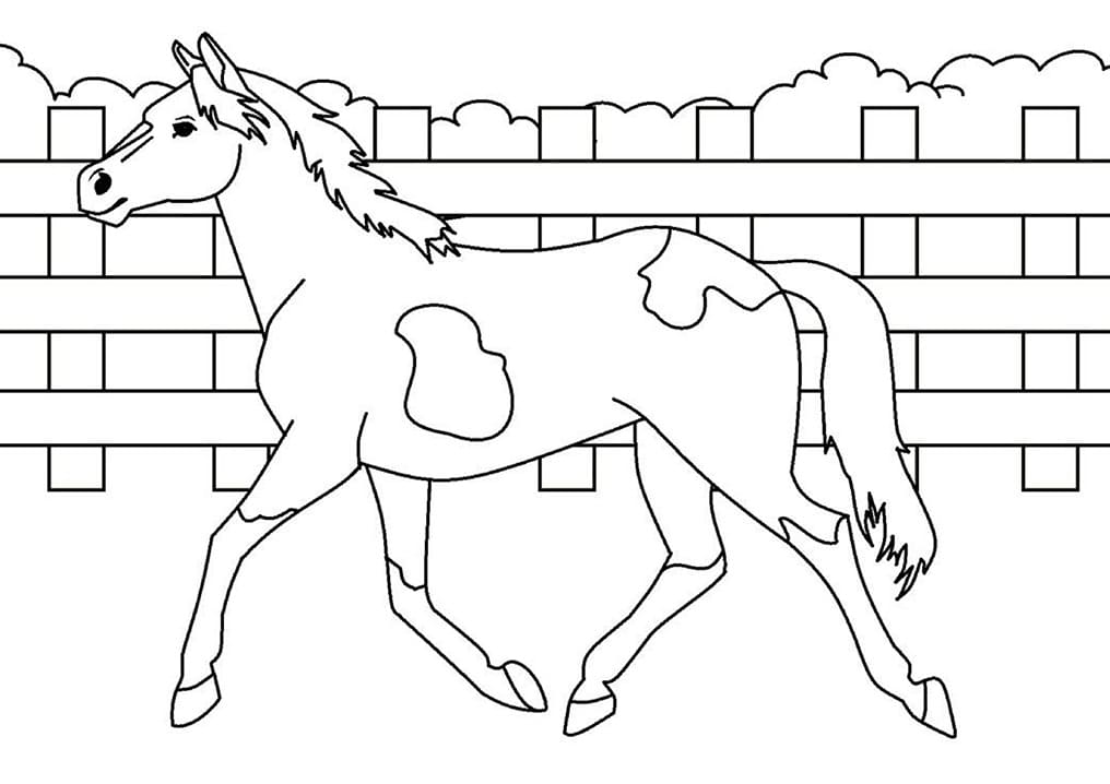 Målarbild Häst (4)