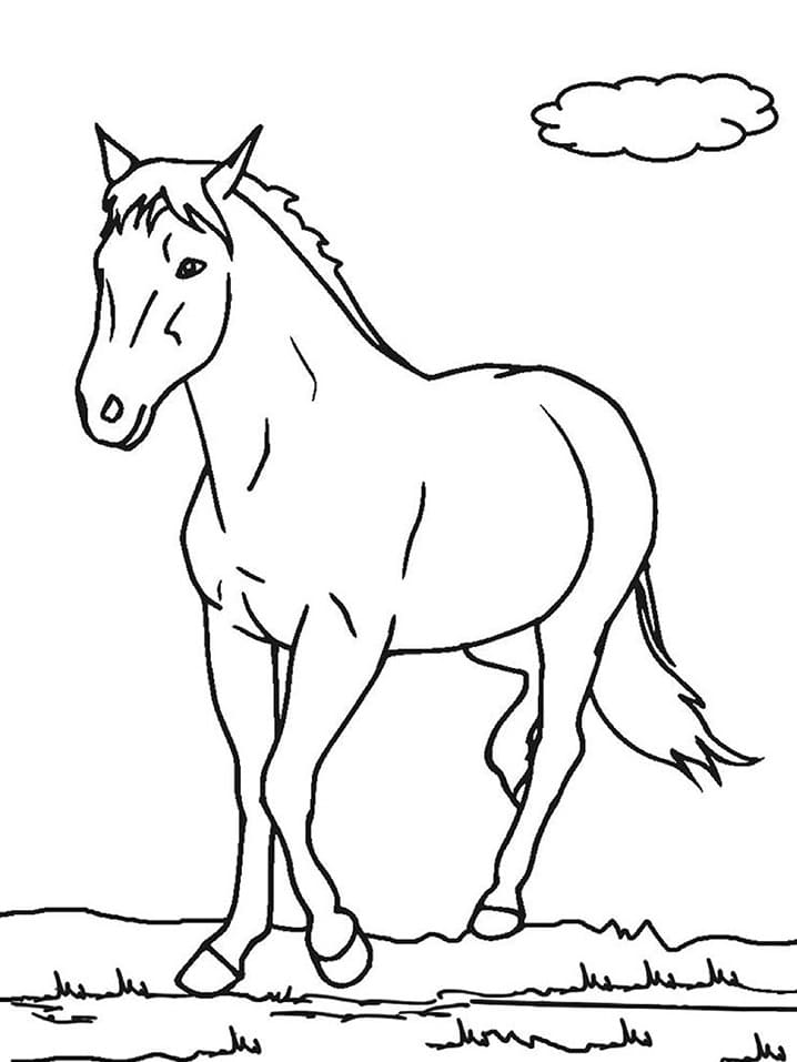 Målarbild Häst (5)