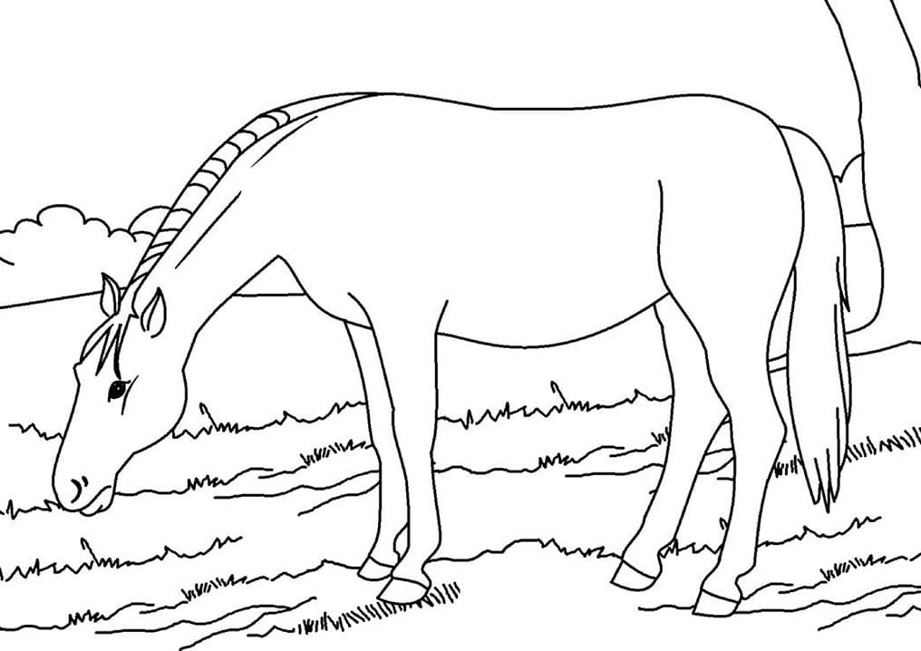 Målarbild Häst (7)