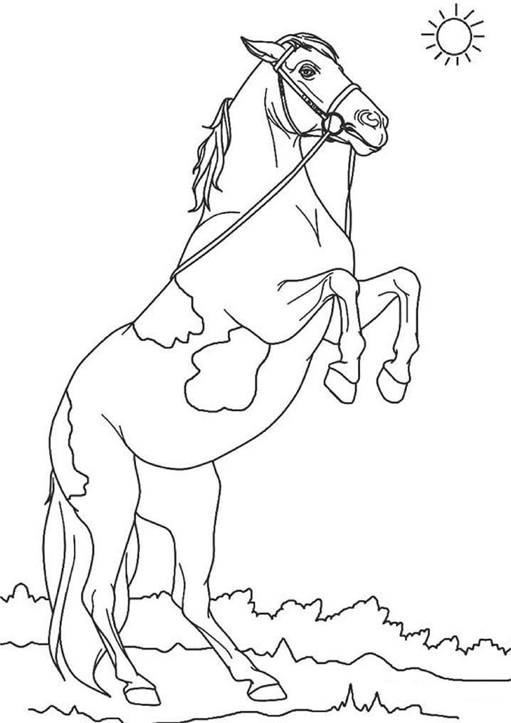 Målarbild Häst (8)