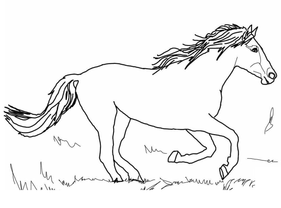 Målarbild Häst Springer
