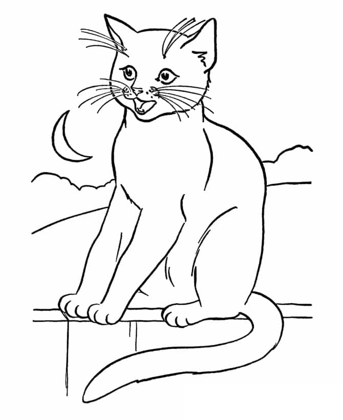 Målarbild Katt (5)