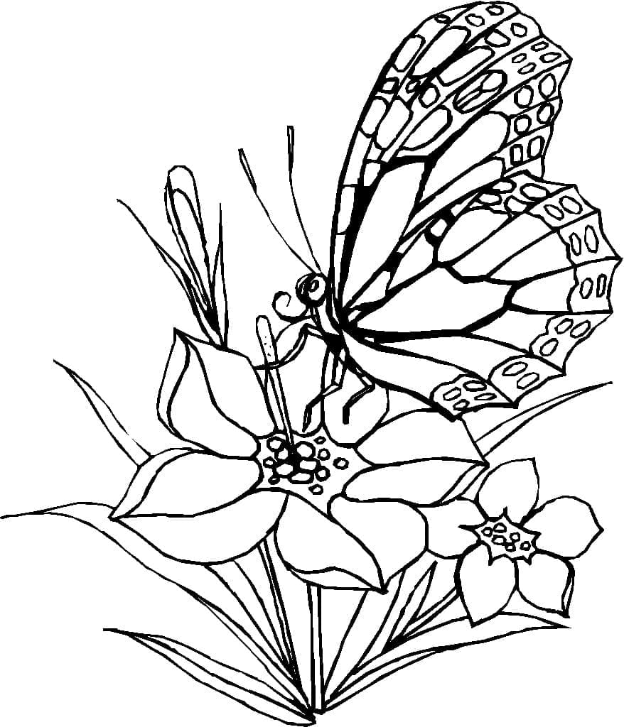 Målarbild En Fjäril med Blommor