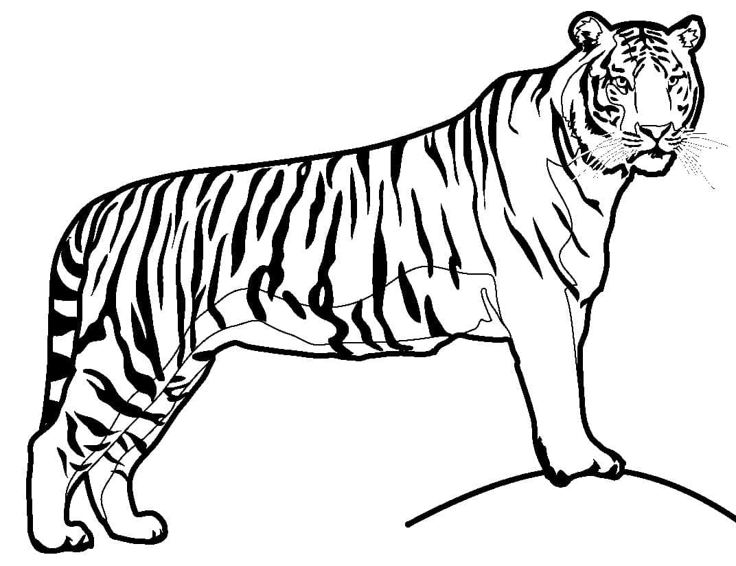 Målarbild En Tiger
