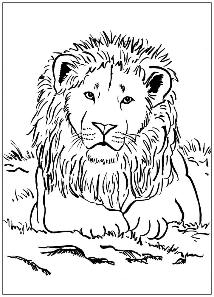 Målarbild Mäktiga Lejon