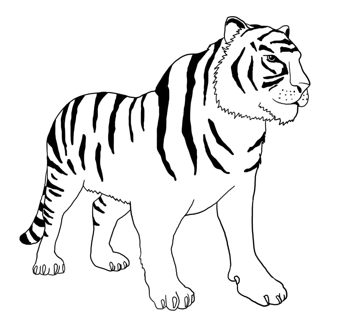 Målarbild Stående Tiger