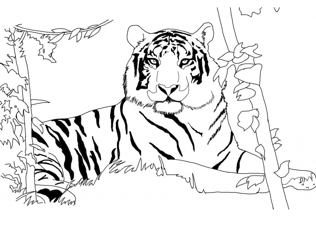 Målarbild Tiger i Skogen