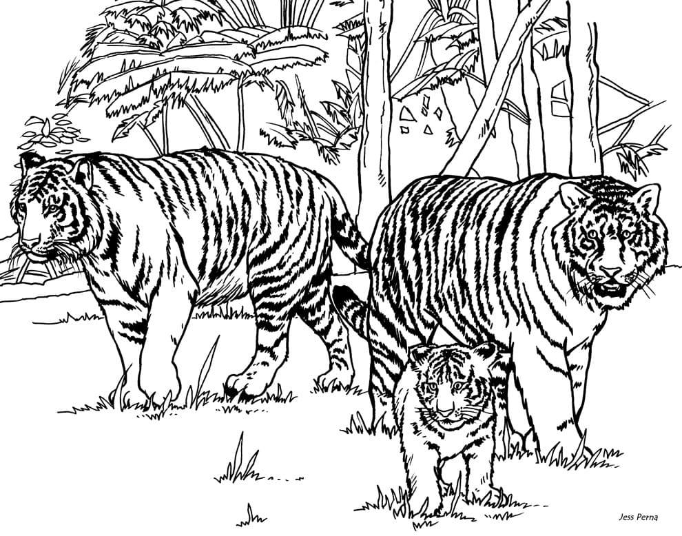 Målarbild Tigerfamilj