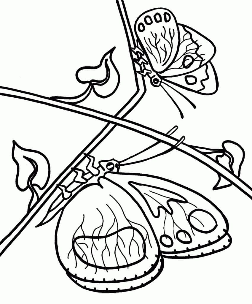 Målarbild Två Fjärilar