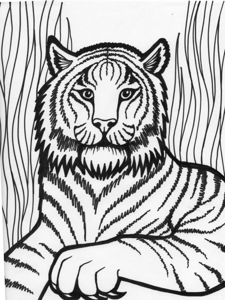 Målarbild Vild Tiger