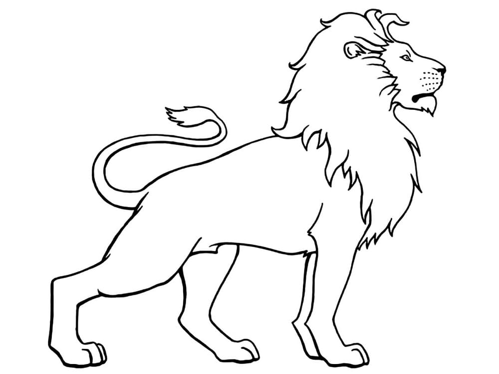 Målarbilder Lejon