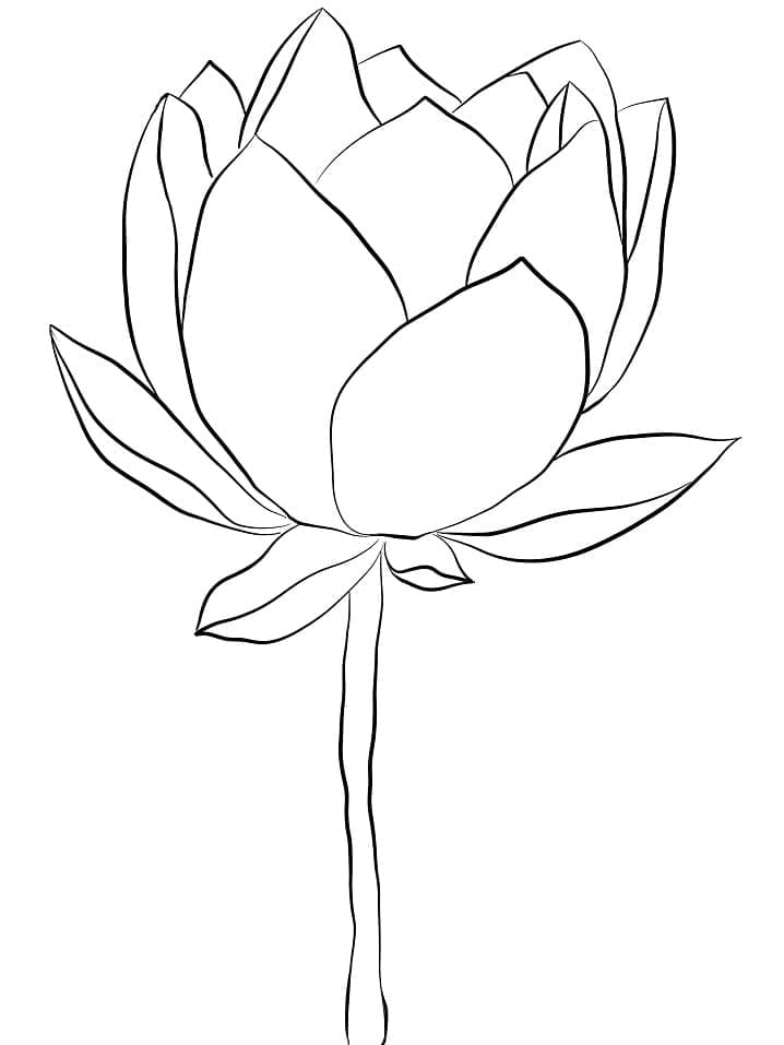 Målarbild En Lotusblomma