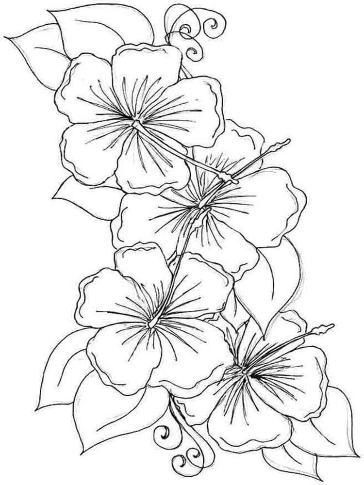 Målarbild Hibiskus Blommor