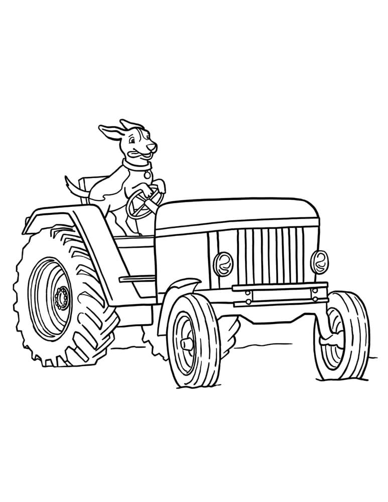 Målarbild Hund på Traktor