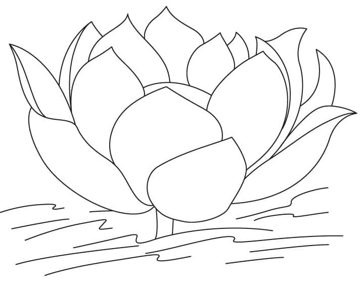 Målarbild Lotus Blomma