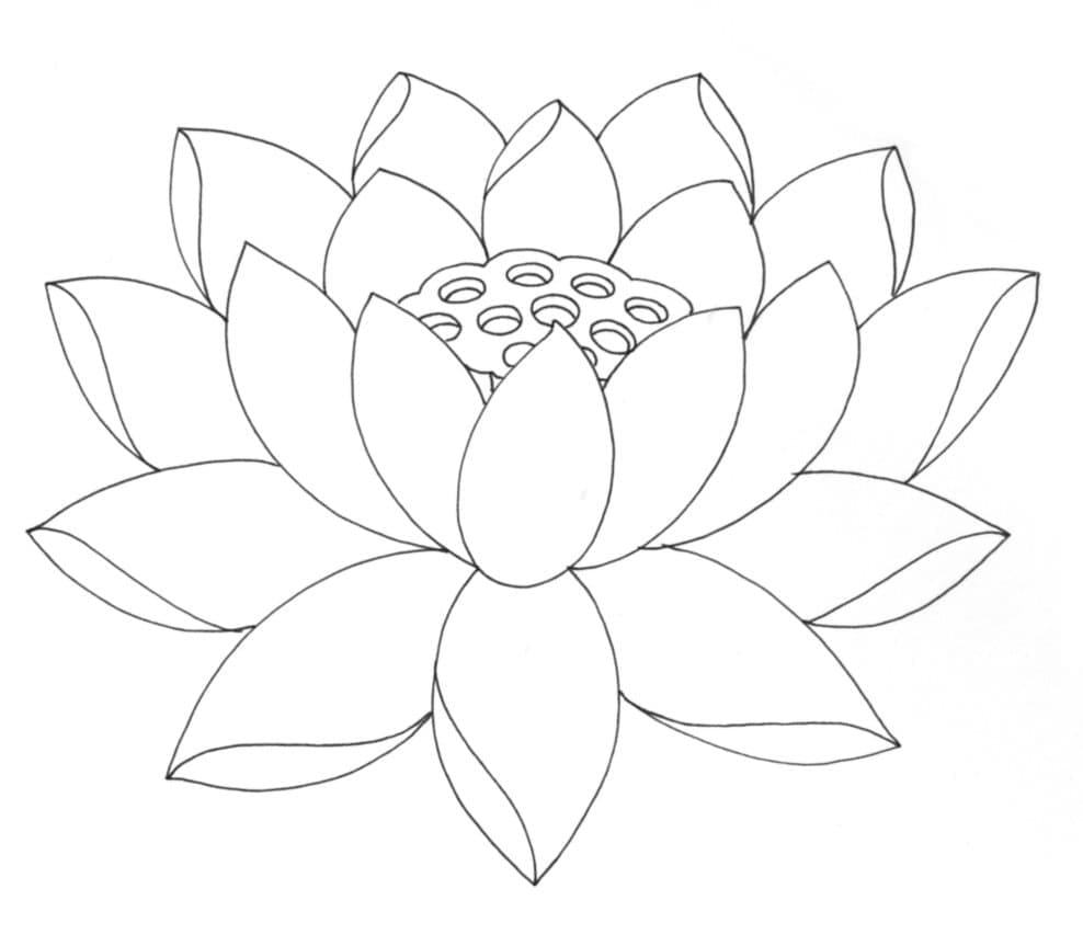 Målarbild Lotusblomma Gratis