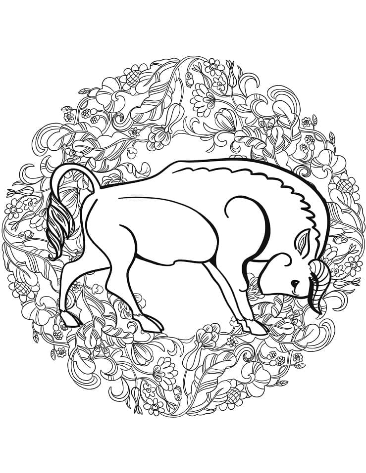 Målarbild Mandala med Buffel