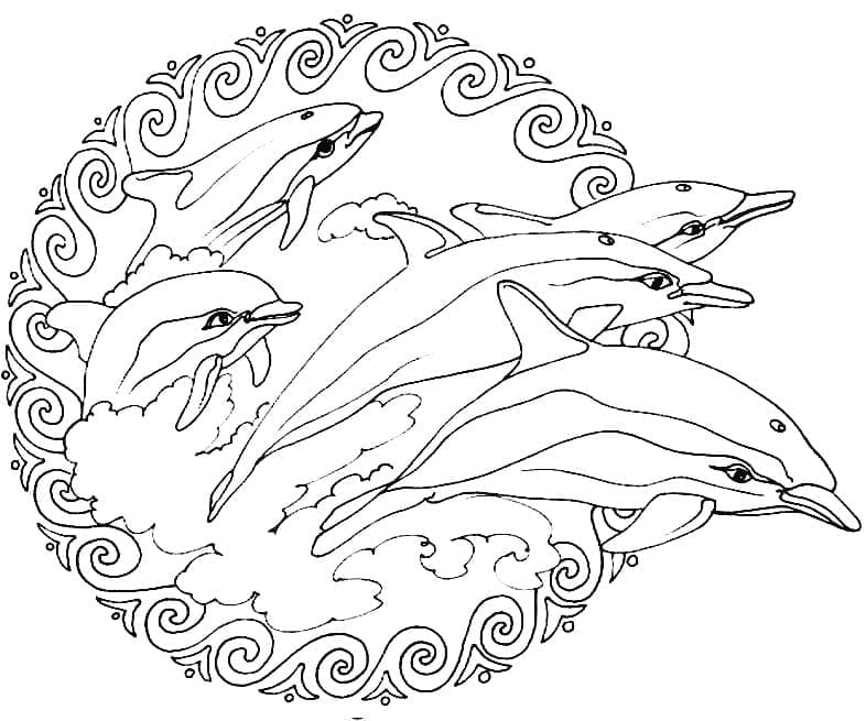 Målarbild Mandala med Delfiner