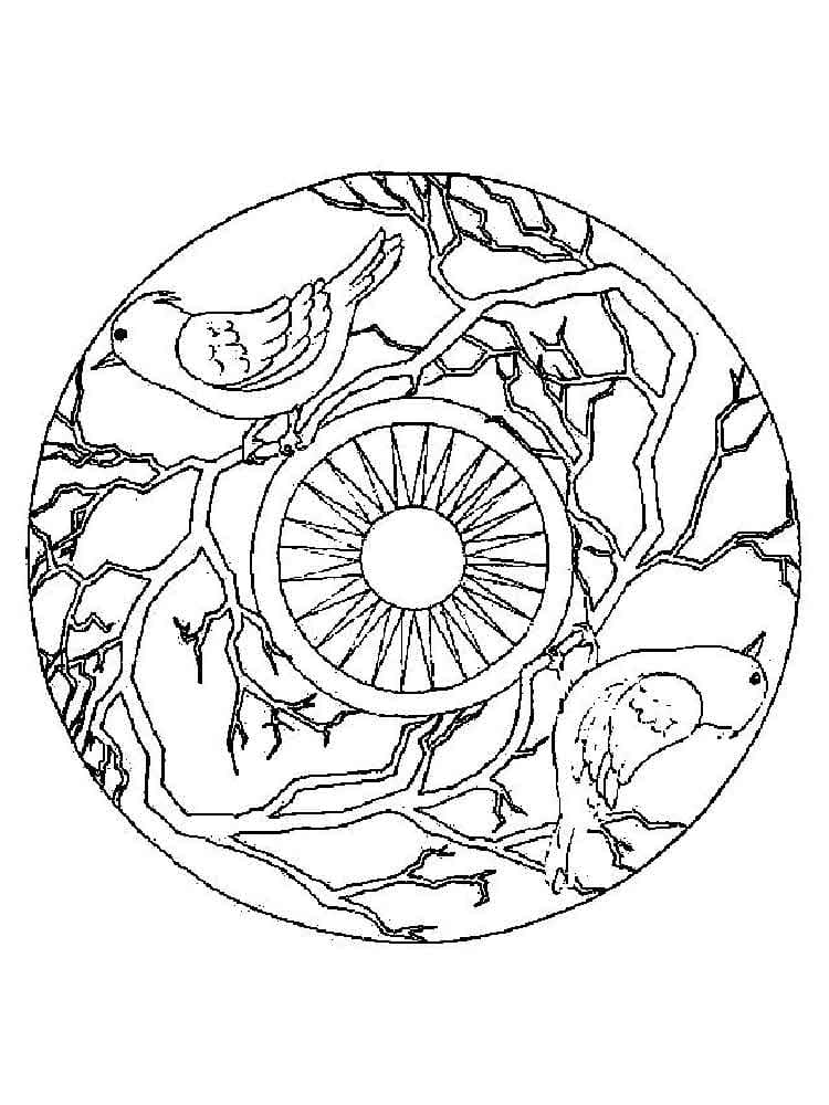 Målarbild Mandala med Fågel