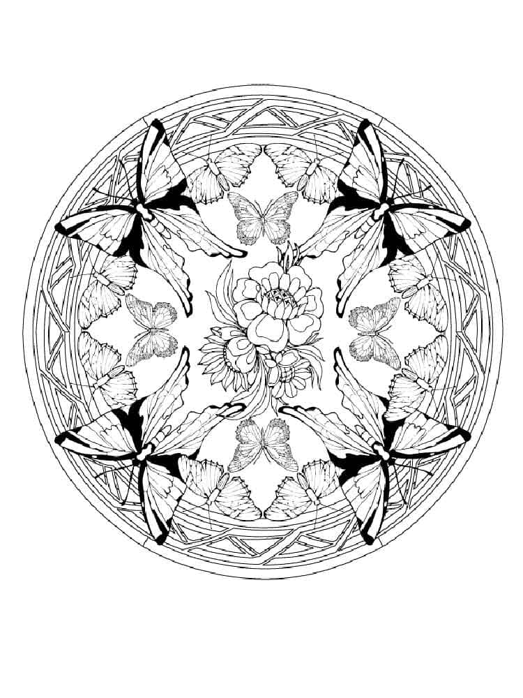 Målarbild Mandala med Fjärilar