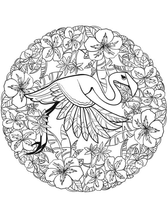 Målarbild Mandala med Flamingo