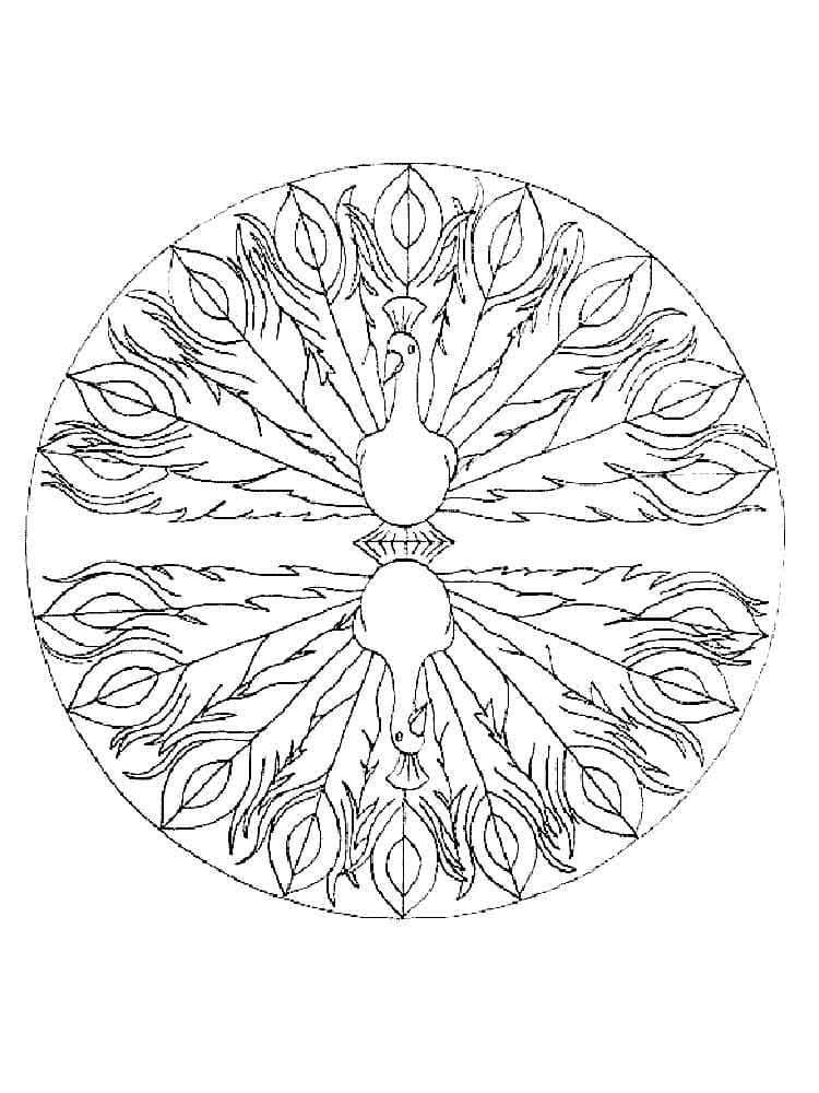 Målarbild Mandala med Påfåglar