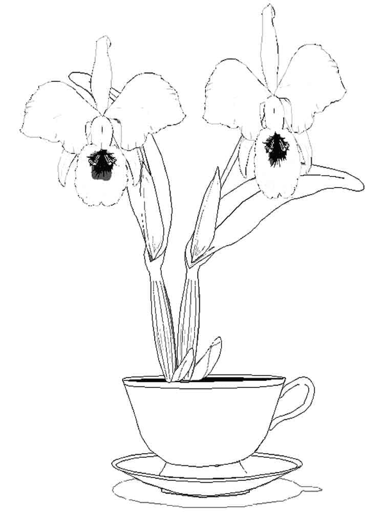 Målarbild Orkidé i en Kopp