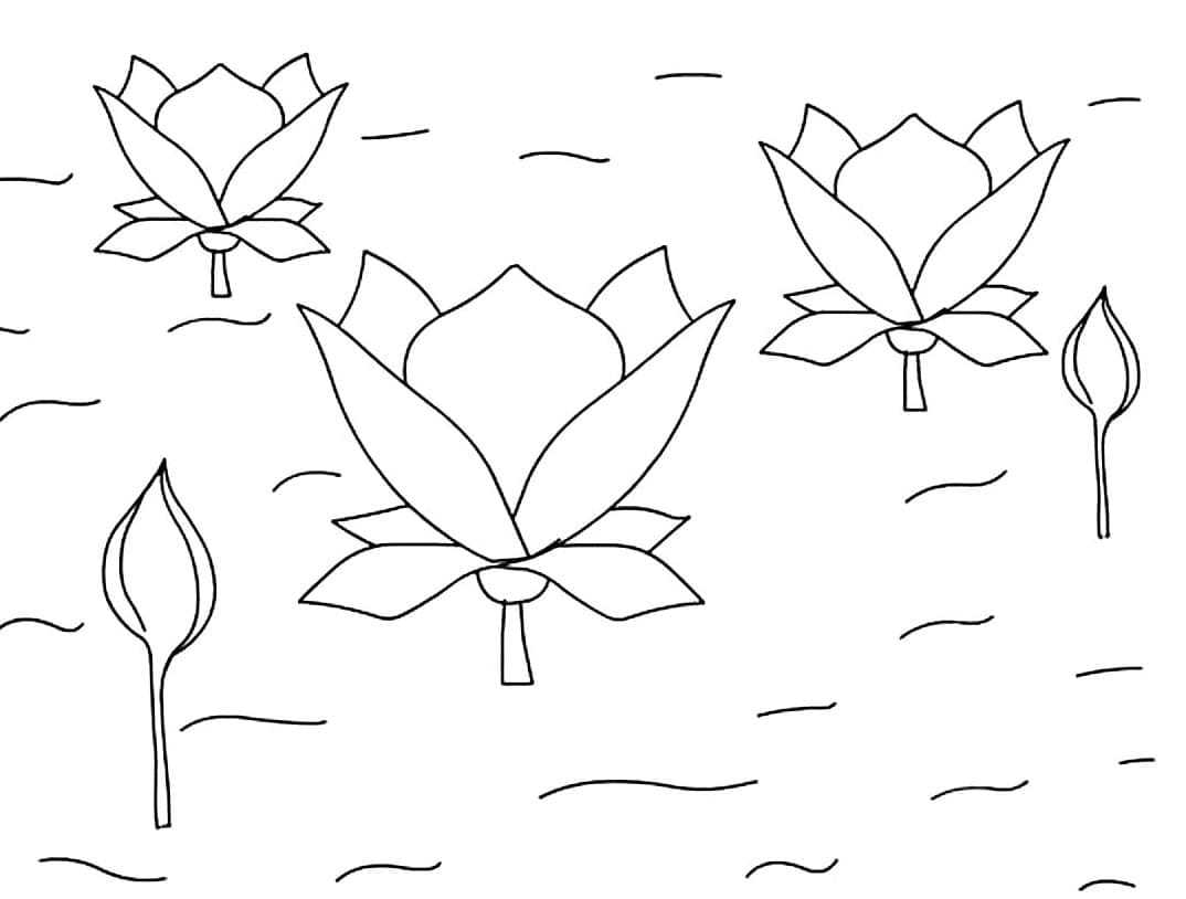 Målarbild Vackra Lotusblommor