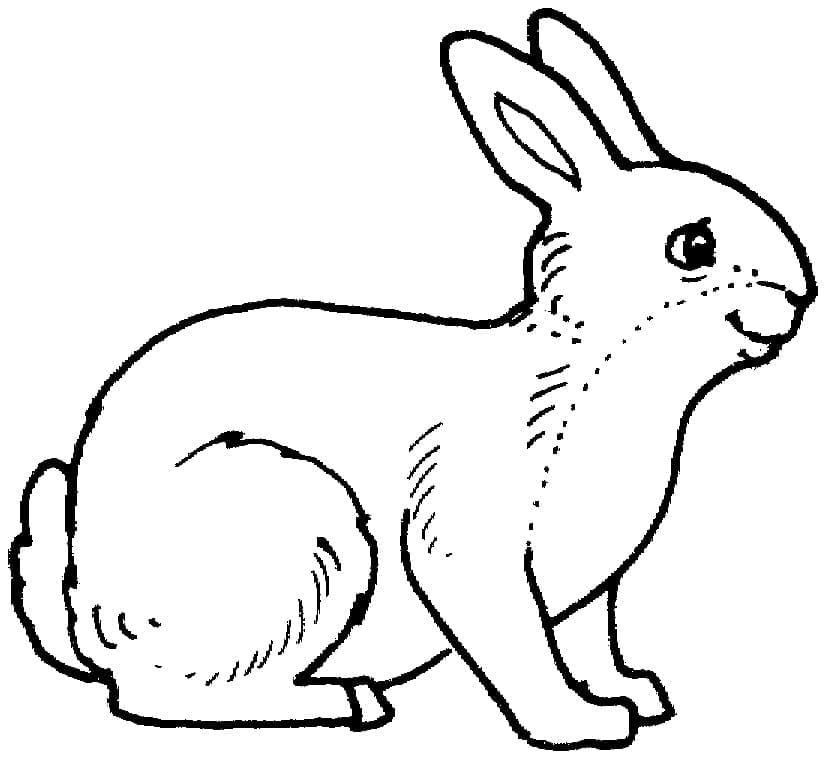 Målarbild En Glad Kanin