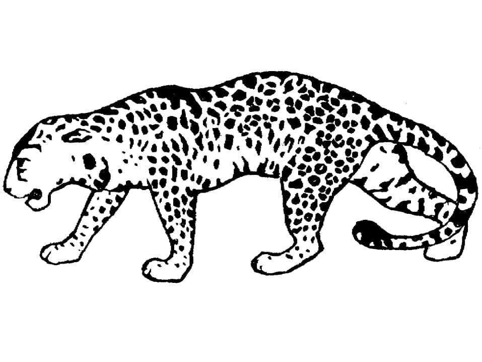 Målarbild Gående Leopard